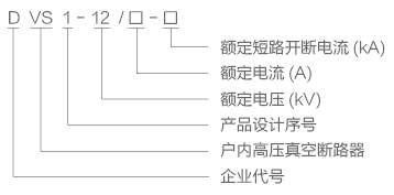 DVS1-12x.png